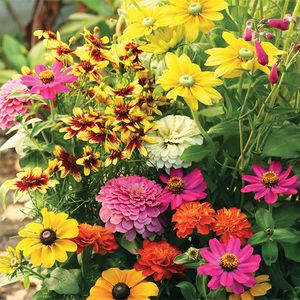 Butterfly Garden Seed Mat