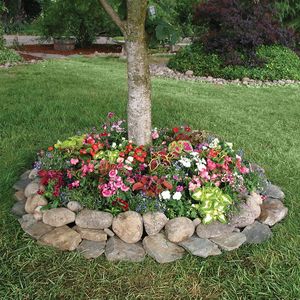 Shady Annual Tree Ring Seed Mat